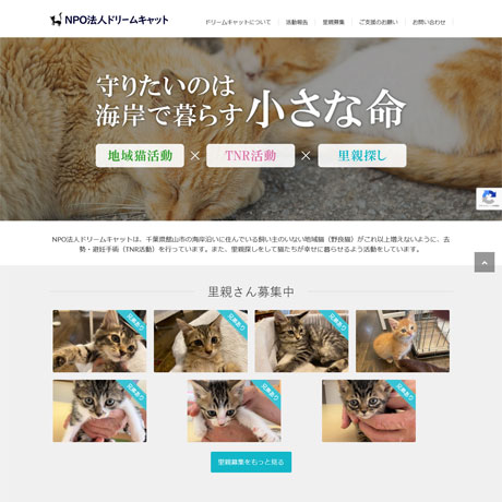 NPO法人ドリームキャット